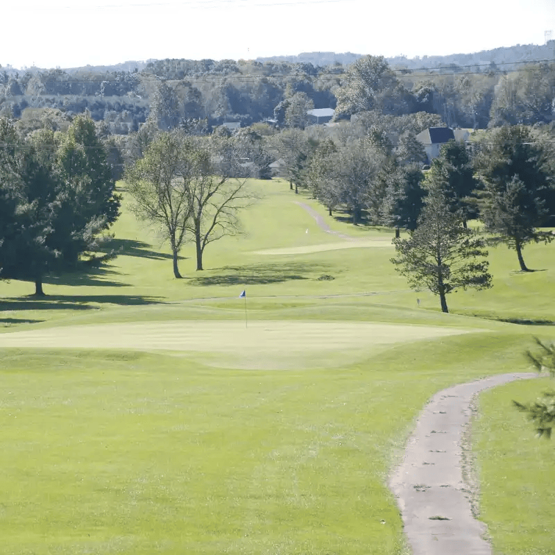 Blue flag on golf course